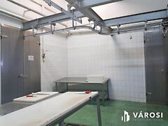 Eladó ipari Hódmezővásárhely