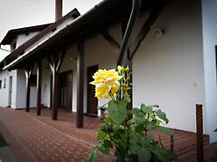 Eladó üzleti Békésszentandrás