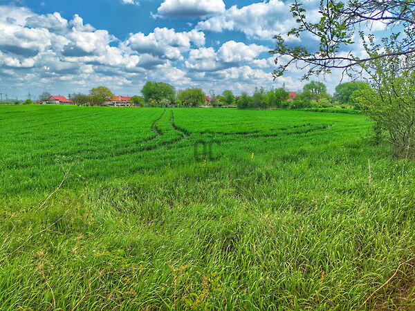 Eladó földterület Ősi