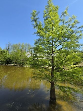 Eladó nyaraló Vízvár