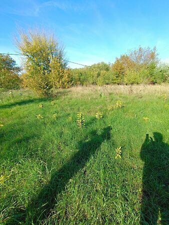 Eladó földterület Szabadbattyán