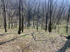 Eladó földterület Kismaros