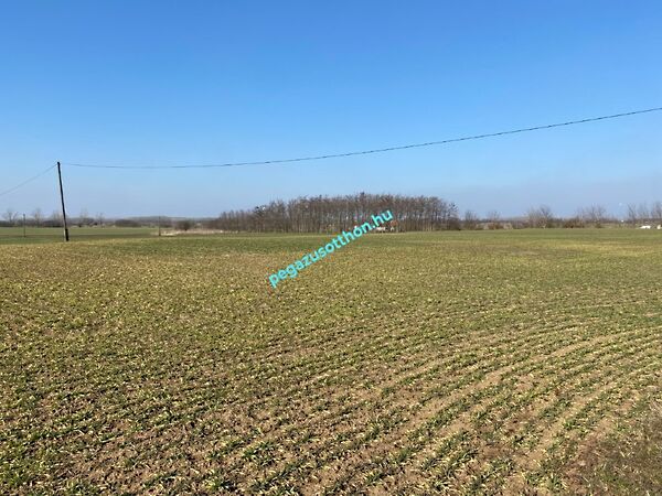 Eladó földterület Tiszaszentimre