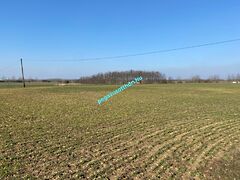 Eladó földterület Tiszaszentimre