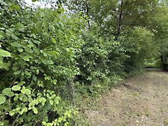 Eladó földterület Balatongyörök