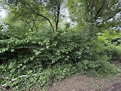 Eladó földterület Balatongyörök