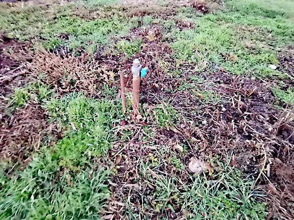 Eladó földterület Tiszaszőlős