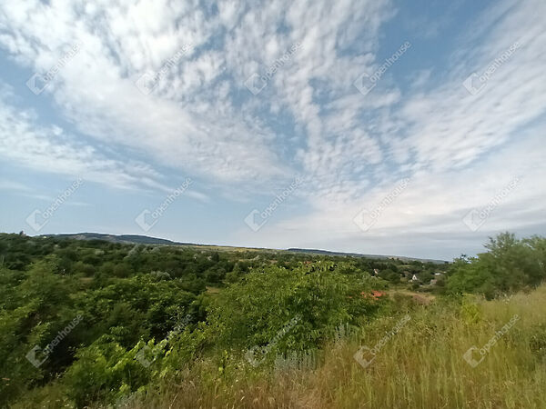 Eladó nyaraló Nyergesújfalu