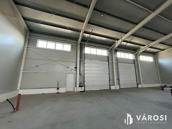 Kiadó ipari Mikepércs