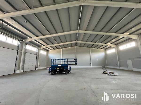 Kiadó ipari Mikepércs