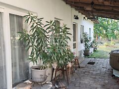 Eladó ház Kistelek