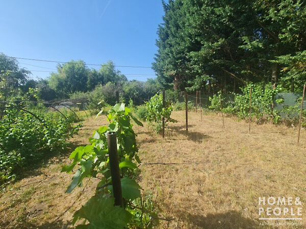 Eladó földterület Hódmezővásárhely