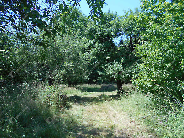 Eladó ház Hegyhátszentjakab