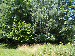 Eladó ház Hegyhátszentjakab