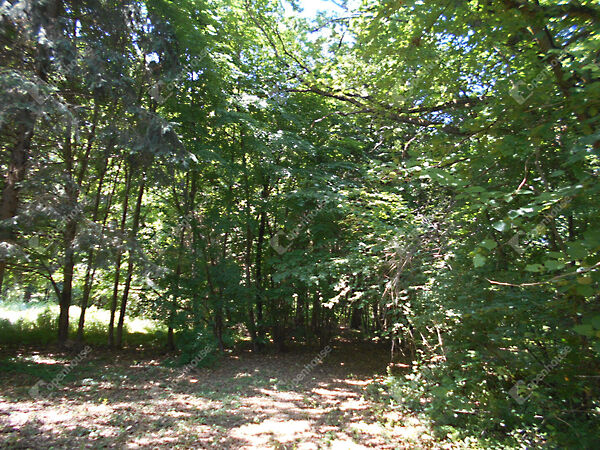 Eladó ház Hegyhátszentjakab