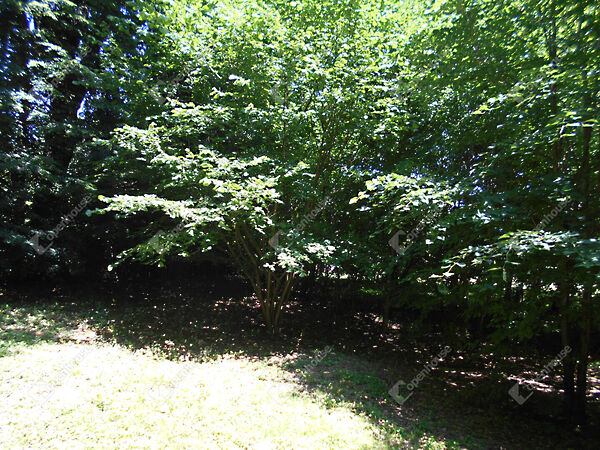 Eladó ház Hegyhátszentjakab