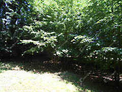 Eladó ház Hegyhátszentjakab