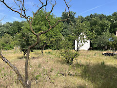 Eladó földterület Debrecen, Apafa