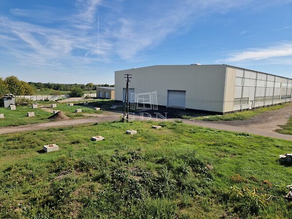 Kiadó ipari Kisapostag