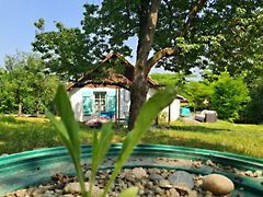 Eladó ház Zalabér