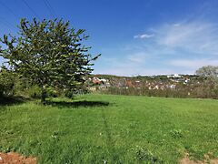 Eladó földterület Budakeszi