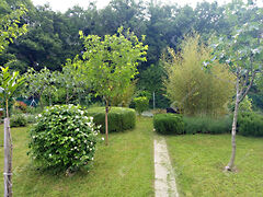 Eladó ház Fertőrákos