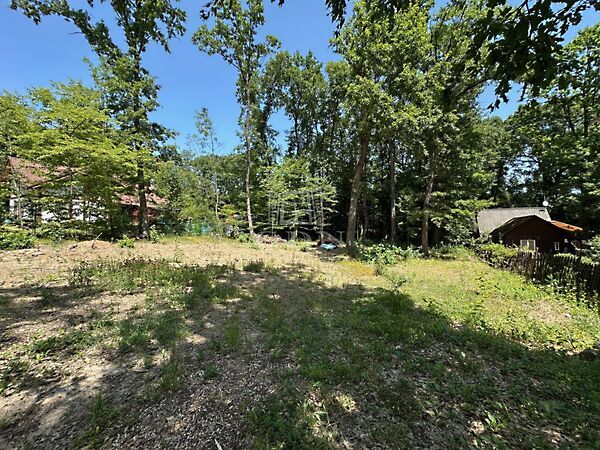 Eladó földterület Kismaros