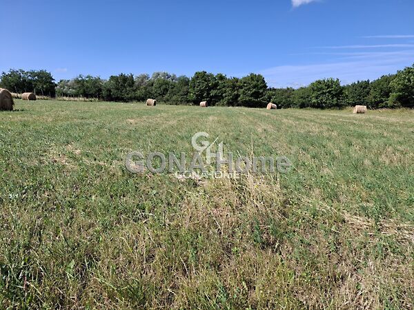 Eladó földterület Tés