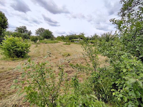 Eladó földterület Mohács