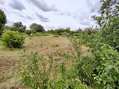 Eladó földterület Mohács