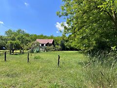 Eladó földterület Domony