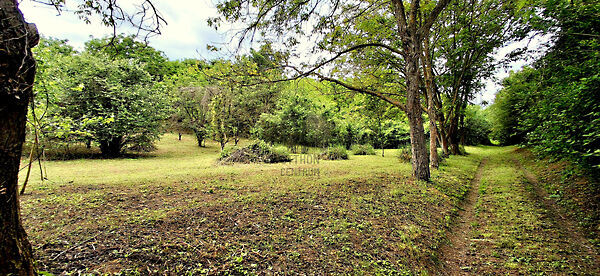 Eladó földterület Cserdi