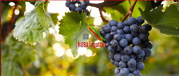 Eladó földterület Sopron