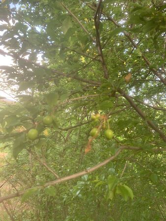 Eladó földterület Balatonendréd