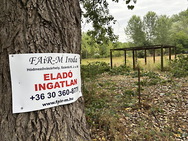 Eladó földterület Mindszent