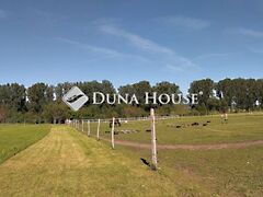 Eladó földterület Dorog