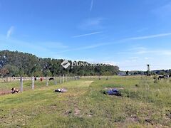 Eladó földterület Dorog