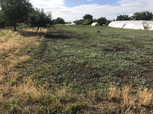 Eladó földterület Szentes