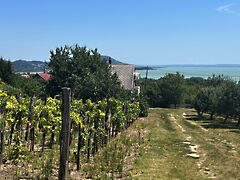 Eladó nyaraló Balatongyörök