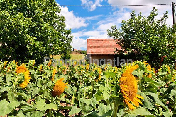 Eladó nyaraló Kápolnásnyék