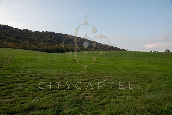 Eladó földterület Tarján