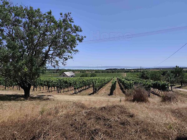 Eladó földterület Tagyon