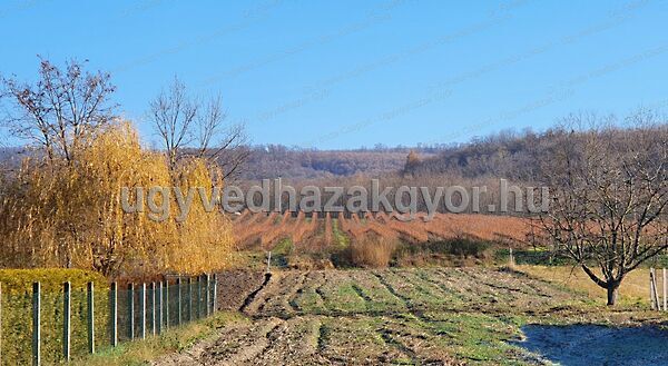 Eladó földterület Tényő