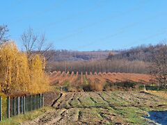 Eladó földterület Tényő