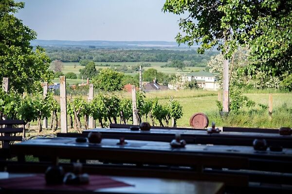 Eladó üzleti Zalakaros