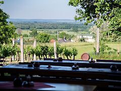 Eladó üzleti Zalakaros