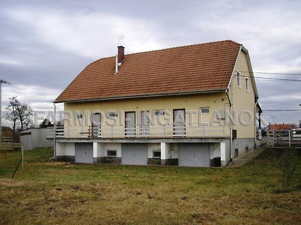 Eladó üzleti Szentistván