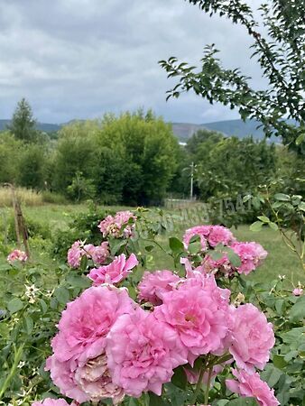 Eladó földterület Törökbálint