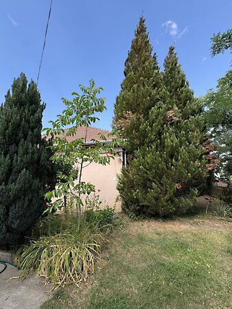 Eladó ház Vámosmikola