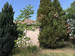 Eladó ház Vámosmikola